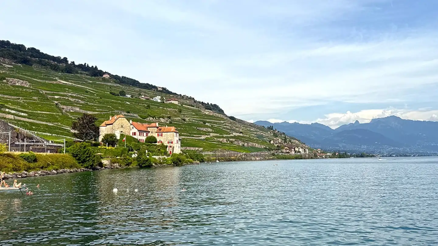 Wohnung kaufen - 1071 Rivaz