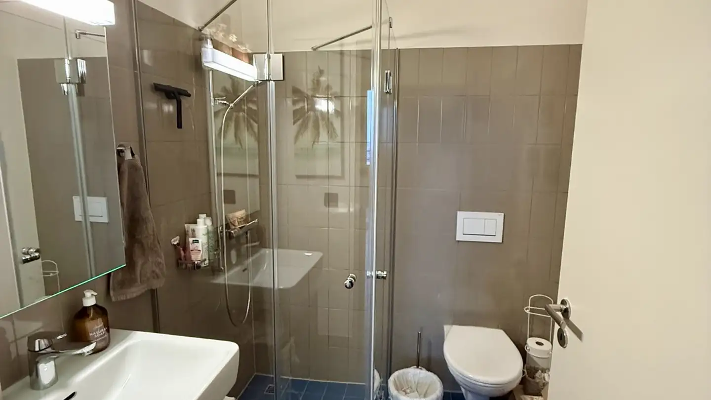 Appartamento in affitto - Brandstrasse 1, 8952 Schlieren - Foto 3