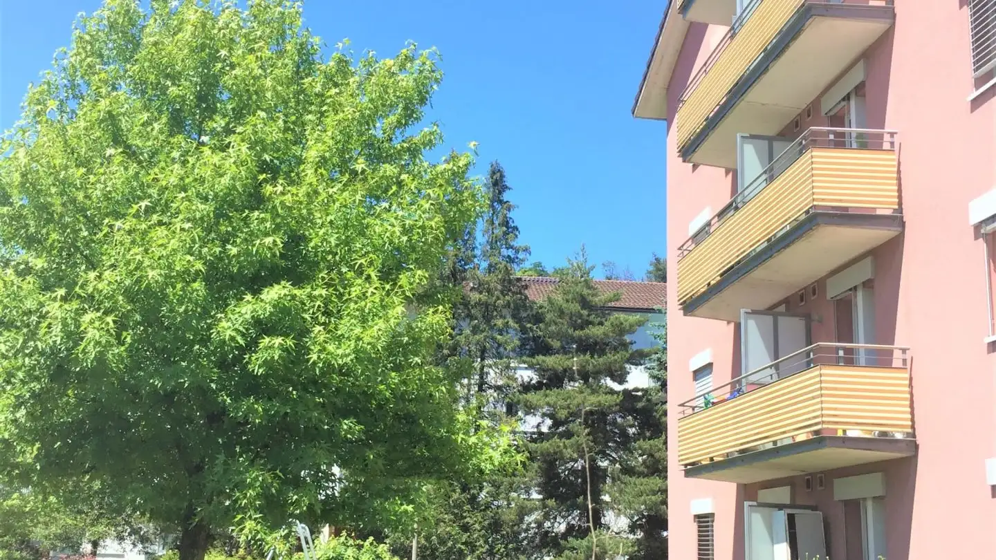 Wohnung mieten - Oltnerstrasse 135, 4663 Aarburg