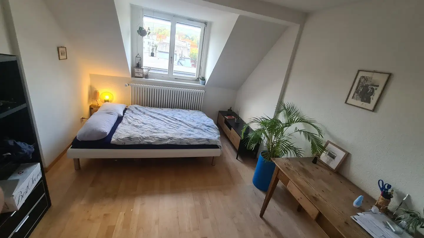Chambre à louer - Dufourstrasse 161, 8008 Zürich