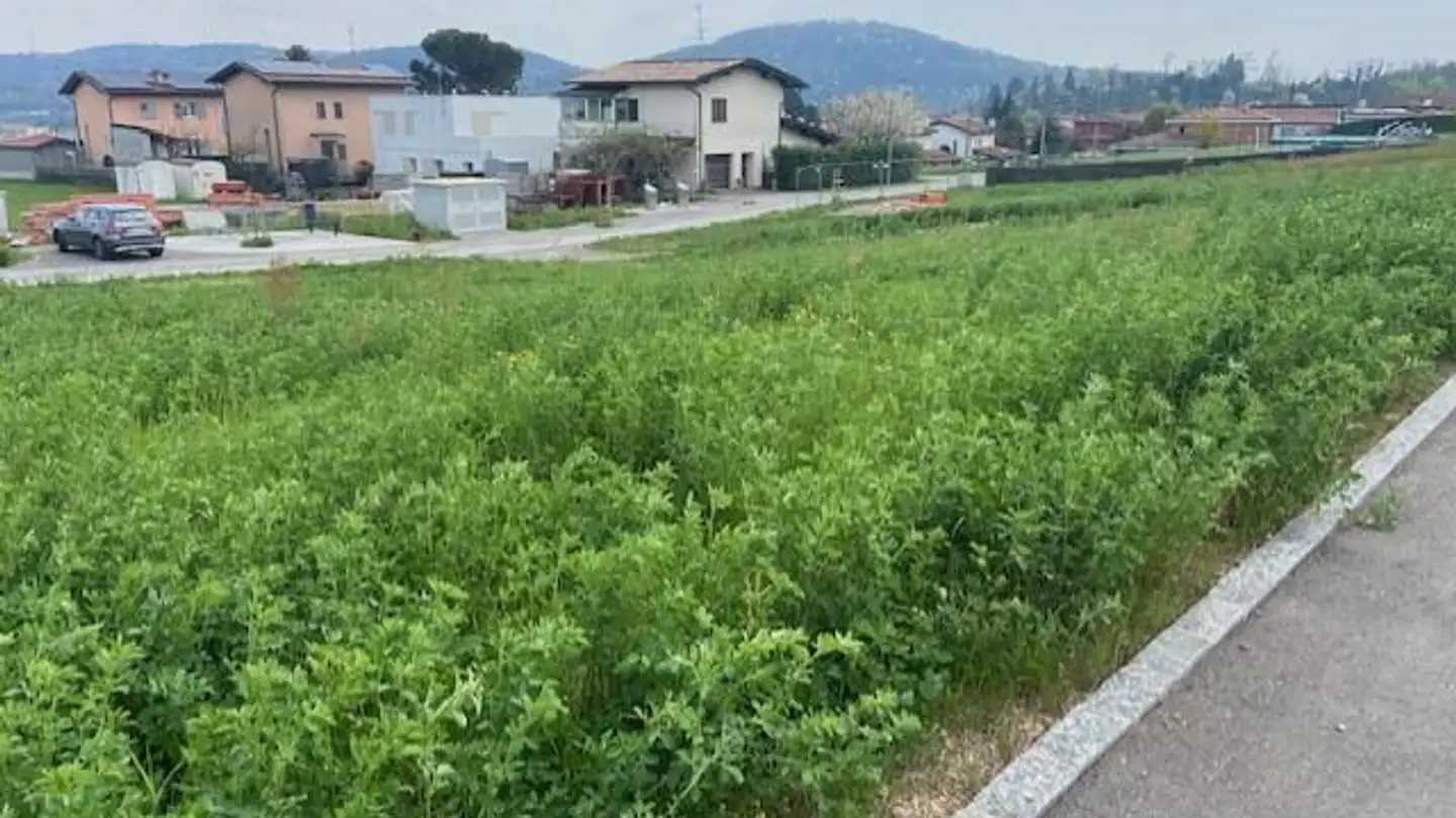 Commercial building plot for sale - 6855 Stabio