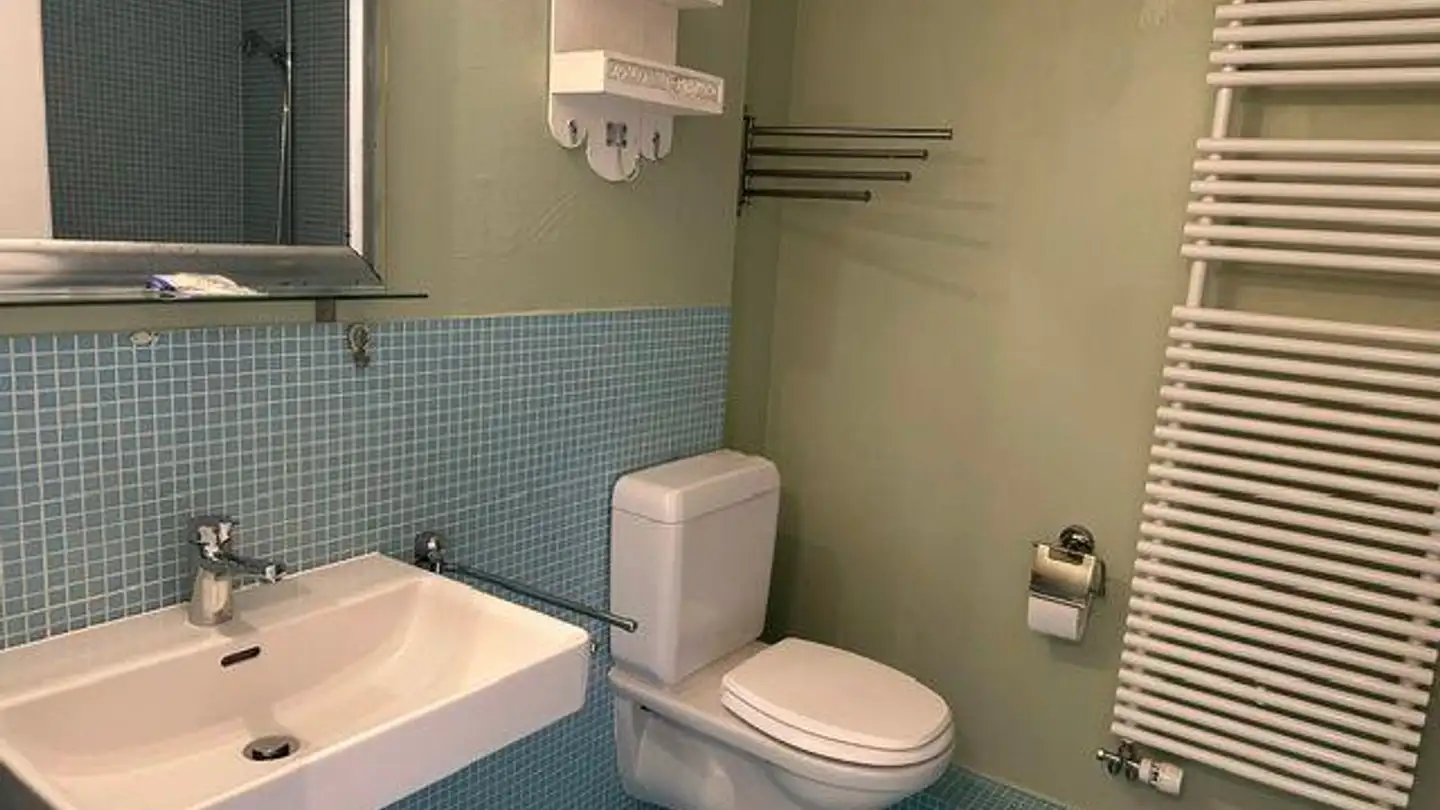 Appartamento in affitto - 8546 Islikon - Foto 4