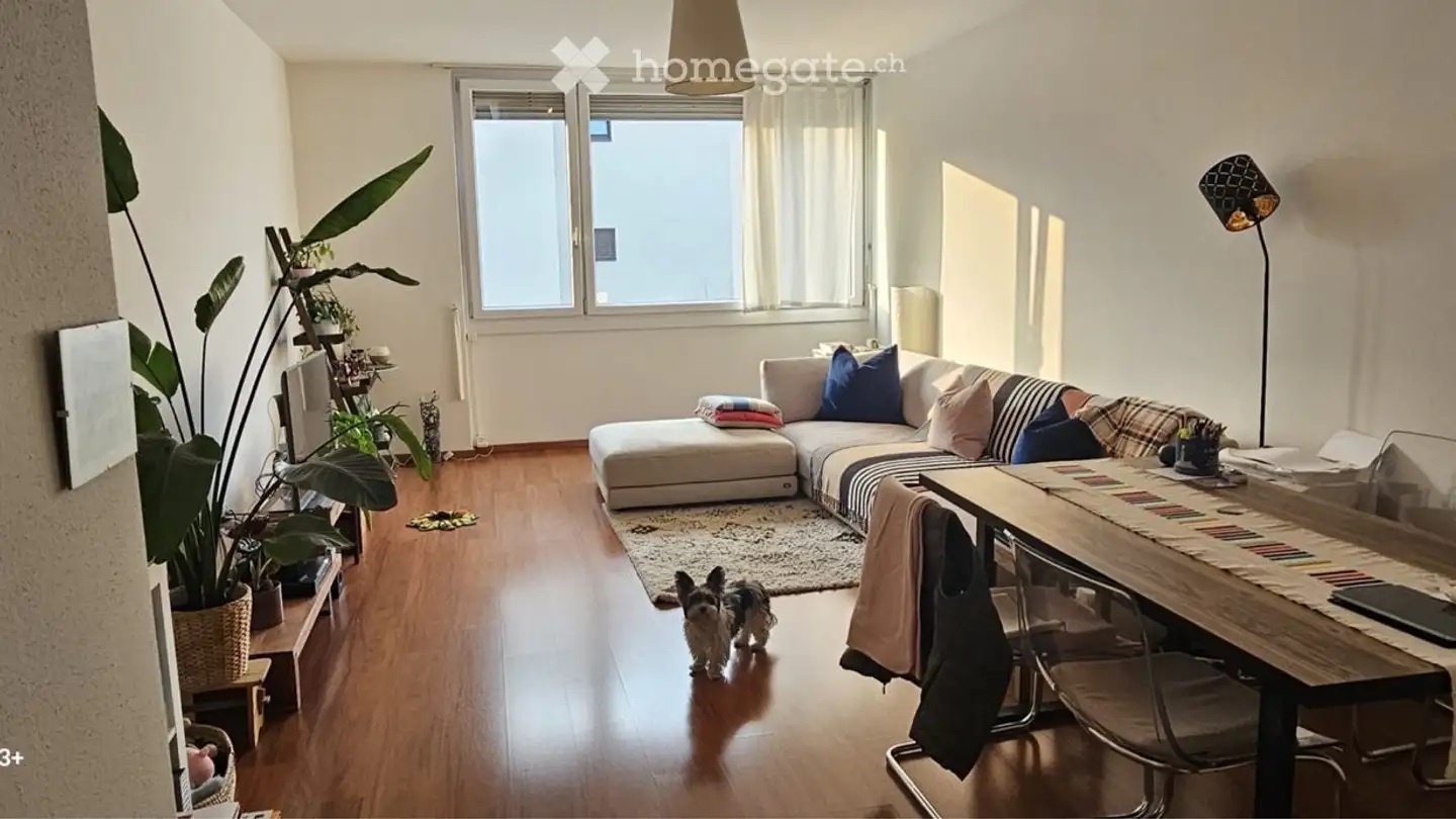 Apartment for rent - Via Del Tiglio, 6900 Lugano