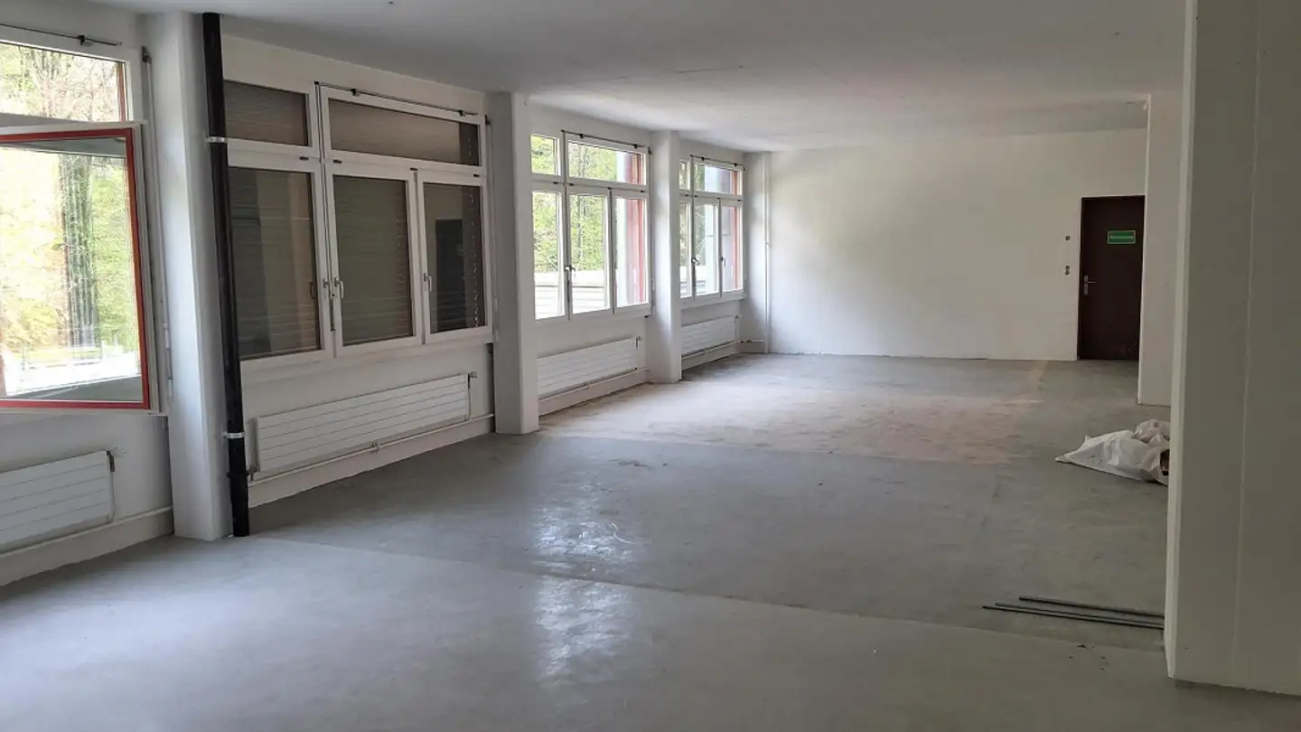 Immeuble industriel à louer - Lohwisstrasse 52, 8123 Ebmatingen - Photo 2