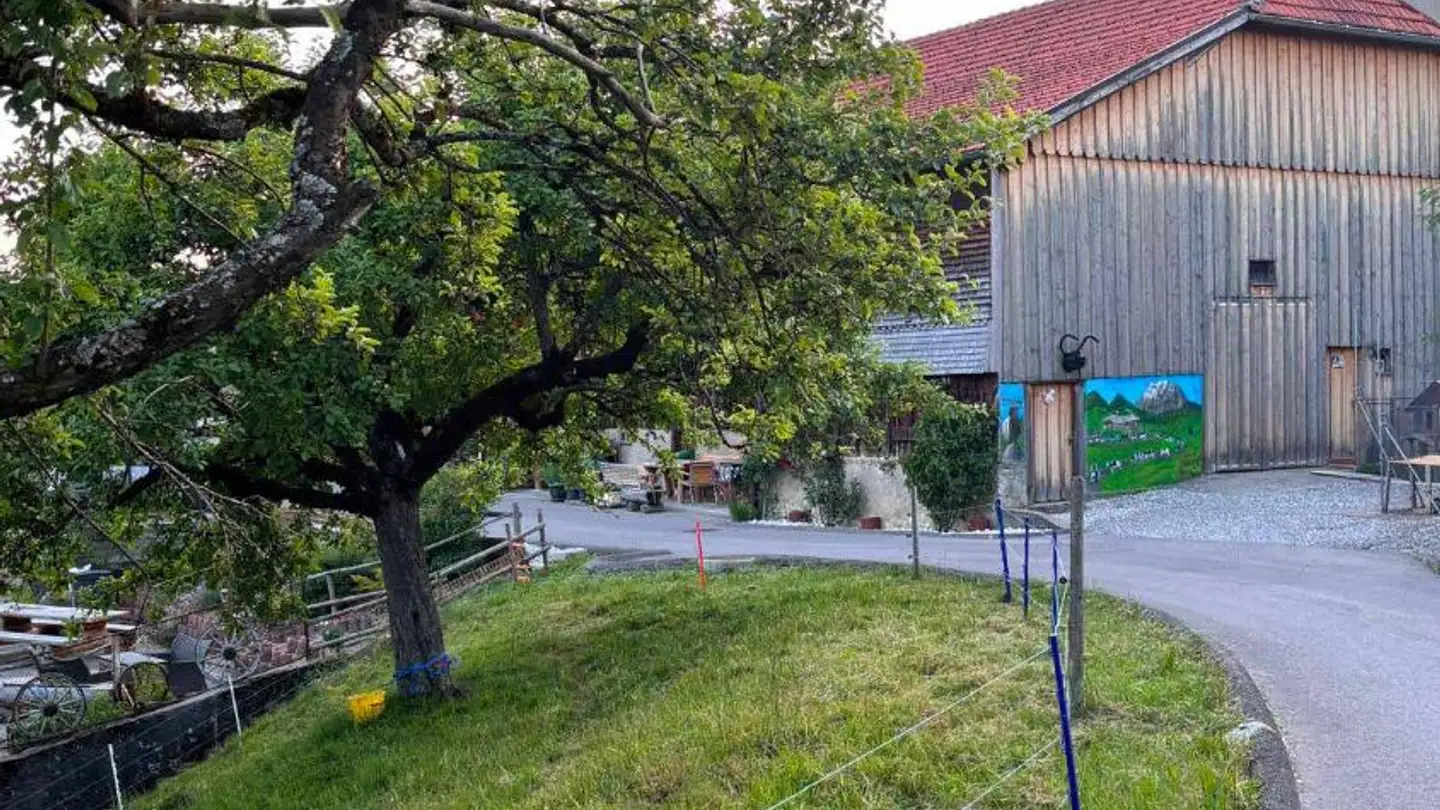 Farm for sale - 1637 Charmey (Gruyère) - Photo 2