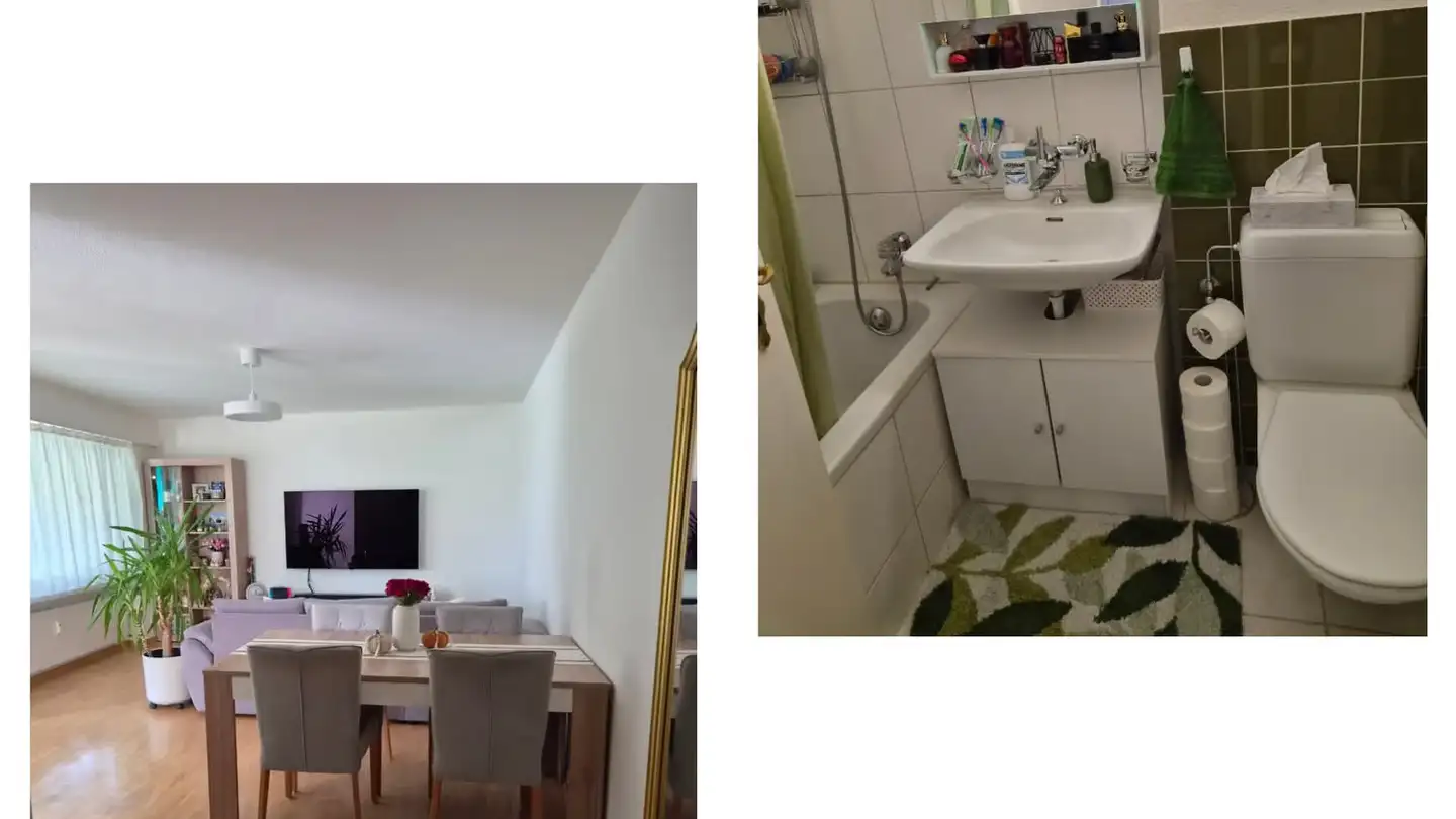 Appartamento in affitto - Albisstrasse 79, 8134 Adliswil - Foto 4