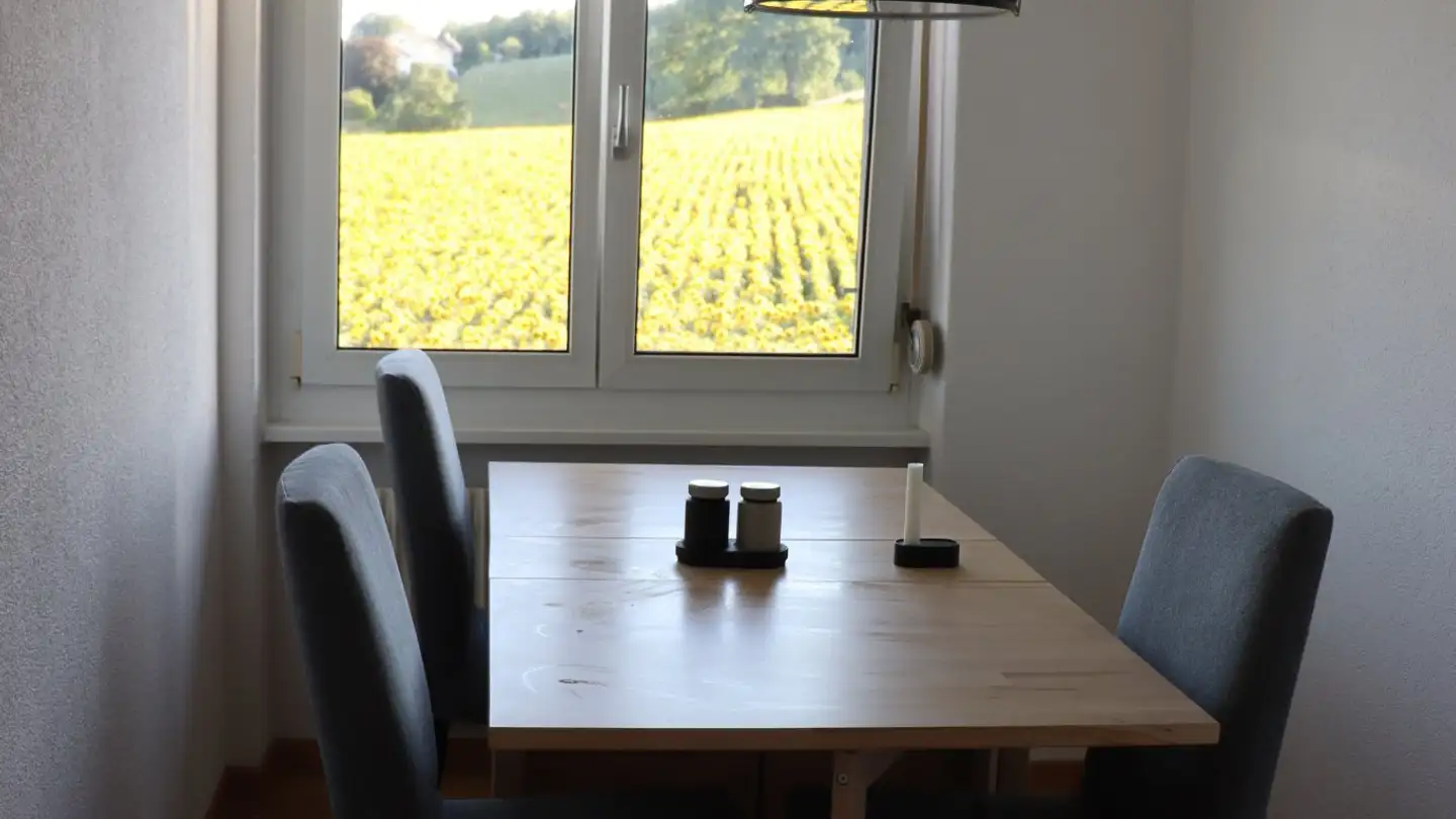 Single room for rent - 3172 Niederwangen b. Bern - Photo 3