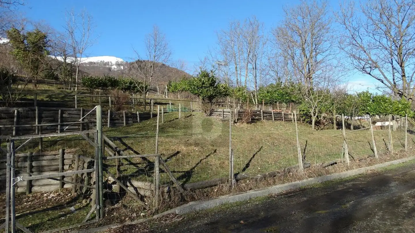 Bien immobilier à vendre - 6986 Miglieglia