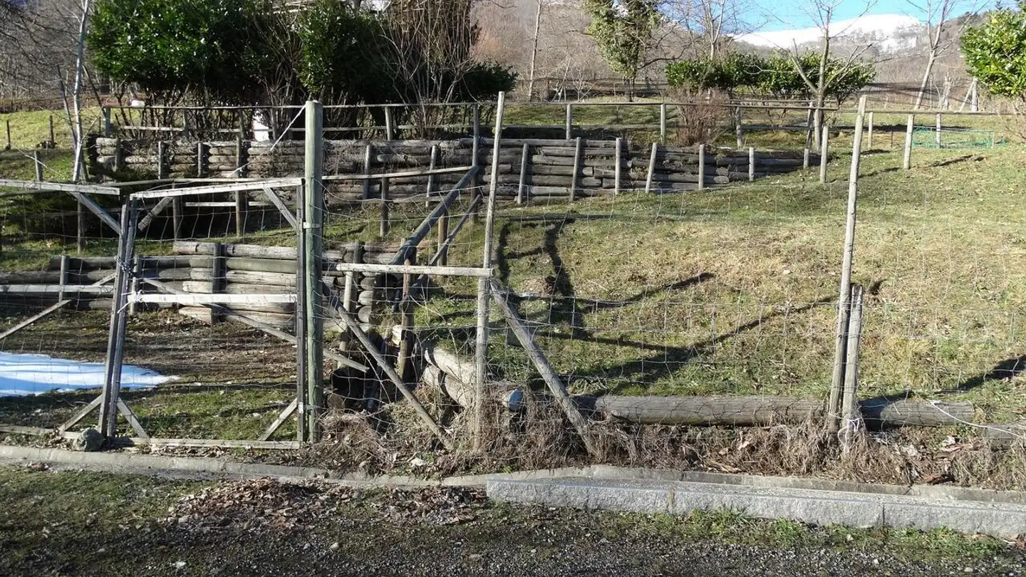 Bien immobilier à vendre - 6986 Miglieglia - Photo 3