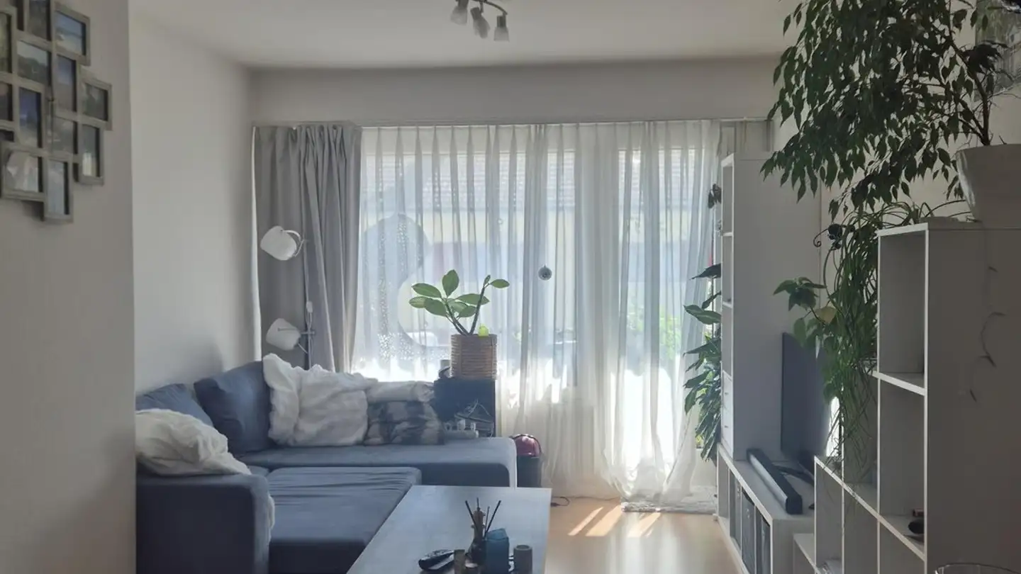 Appartement à louer - Olivenweg, 3018 Bern