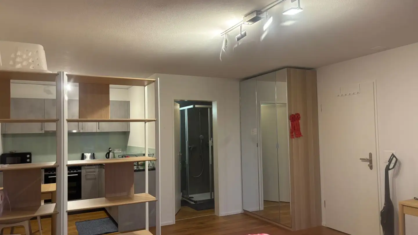Studio for rent - Rütimattstrasse, 6295 Mosen - Photo 2