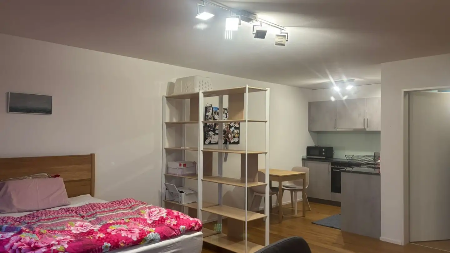 Studio for rent - Rütimattstrasse, 6295 Mosen - Photo 4