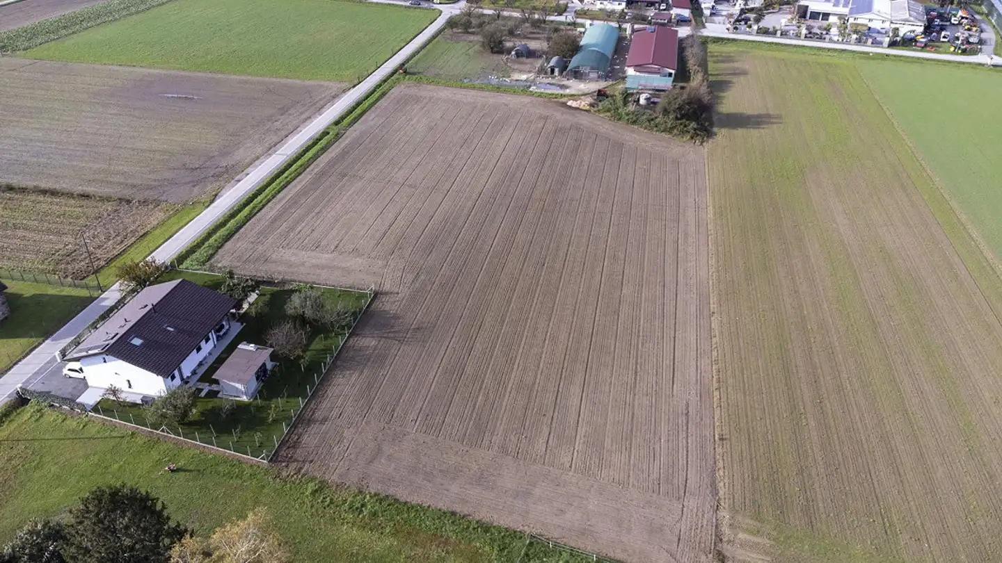 Entreprise agricole à vendre - Ala Campagna 37, 6593 Cadenazzo - Photo 4