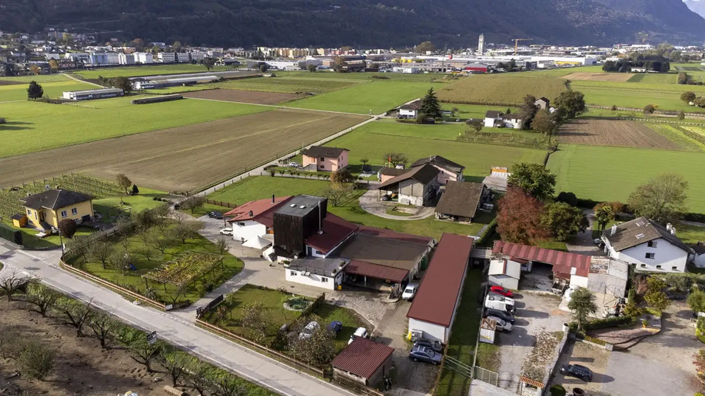 Entreprise agricole à vendre - Ala Campagna 37, 6593 Cadenazzo