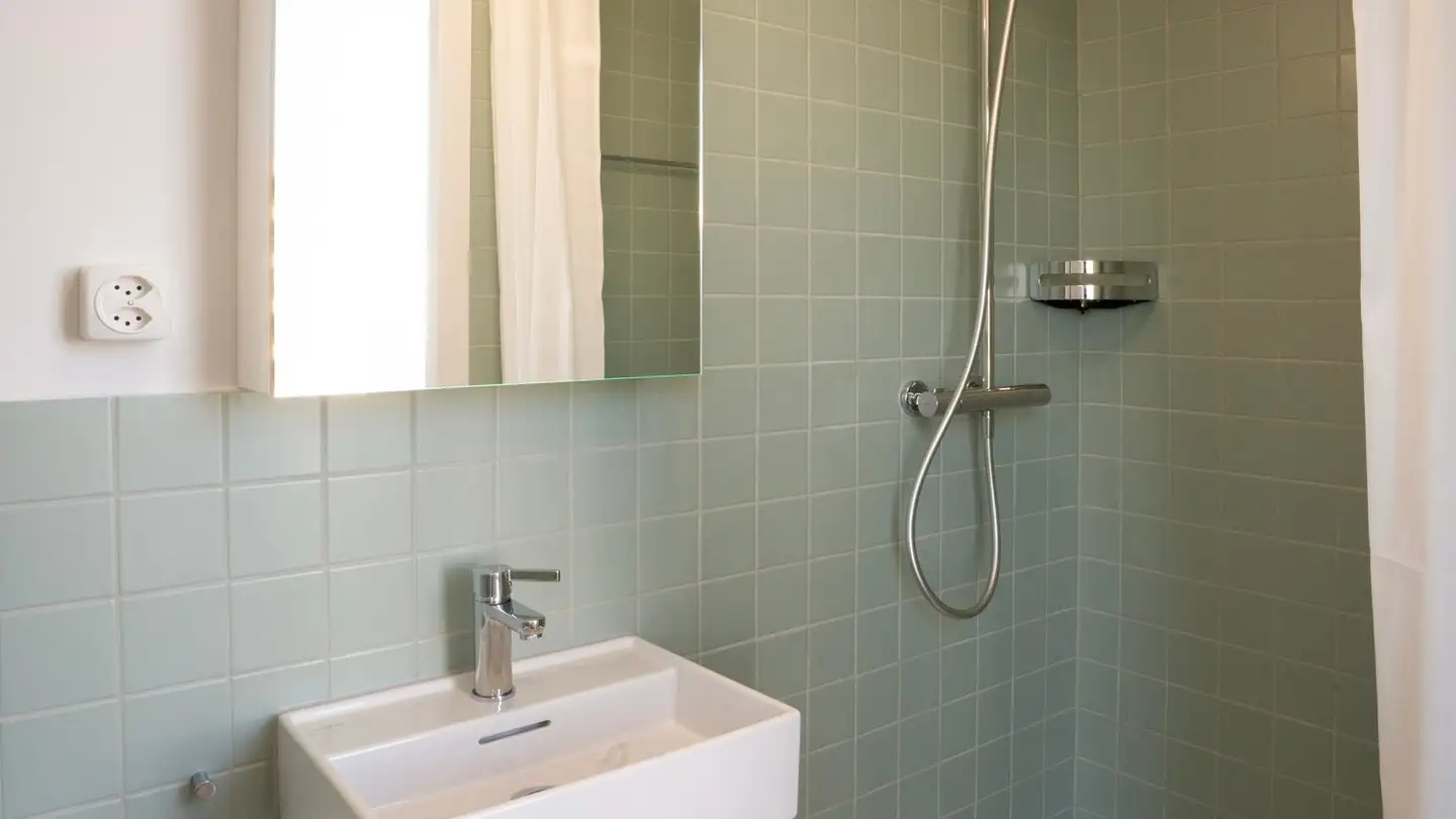 Furnished apartment for rent - Schärenmoosstrasse 99, 8052 Zürich - Photo 2