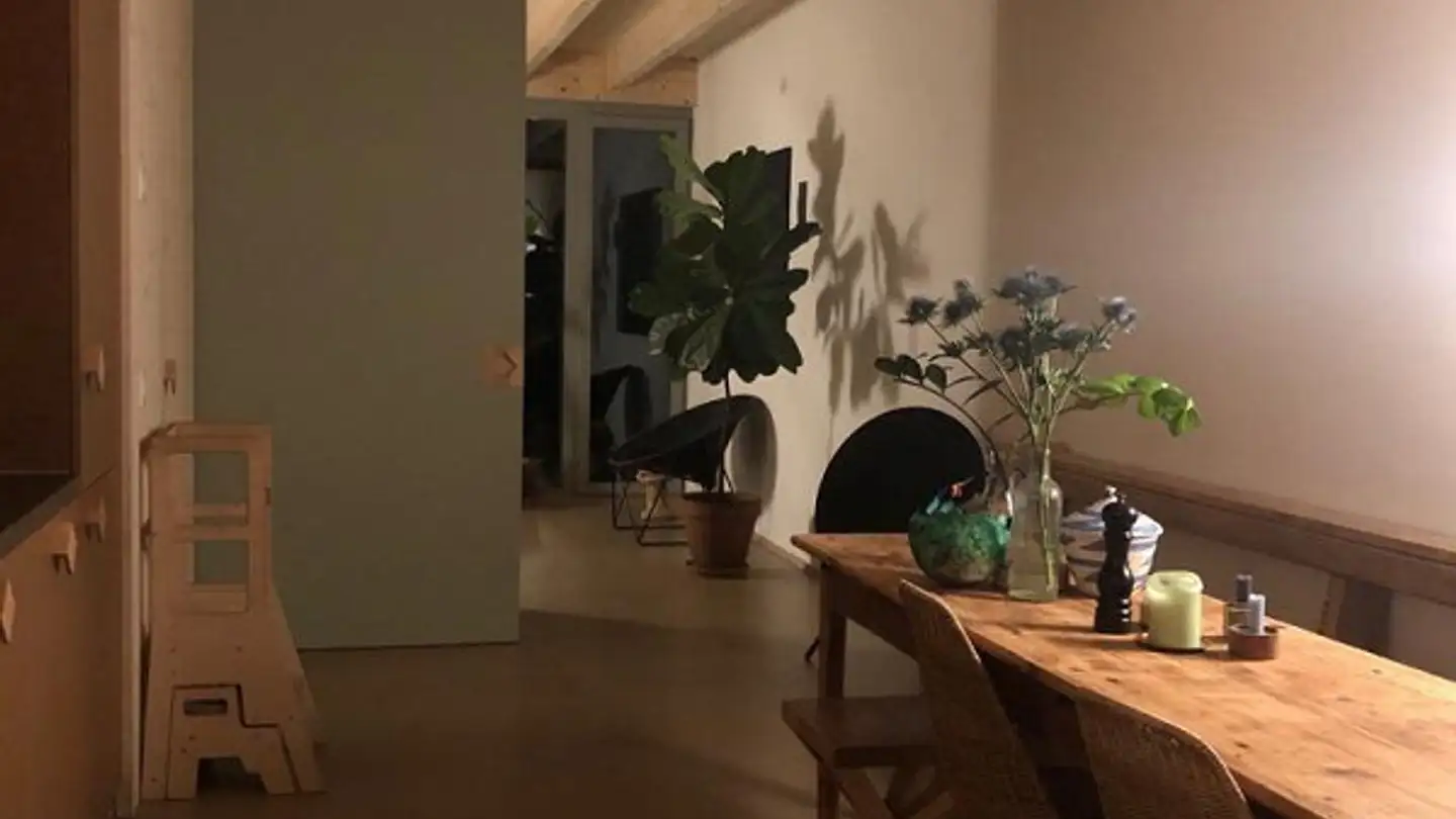 Duplex for rent - Bergstrasse 87f, 8810 Horgen - Photo 3