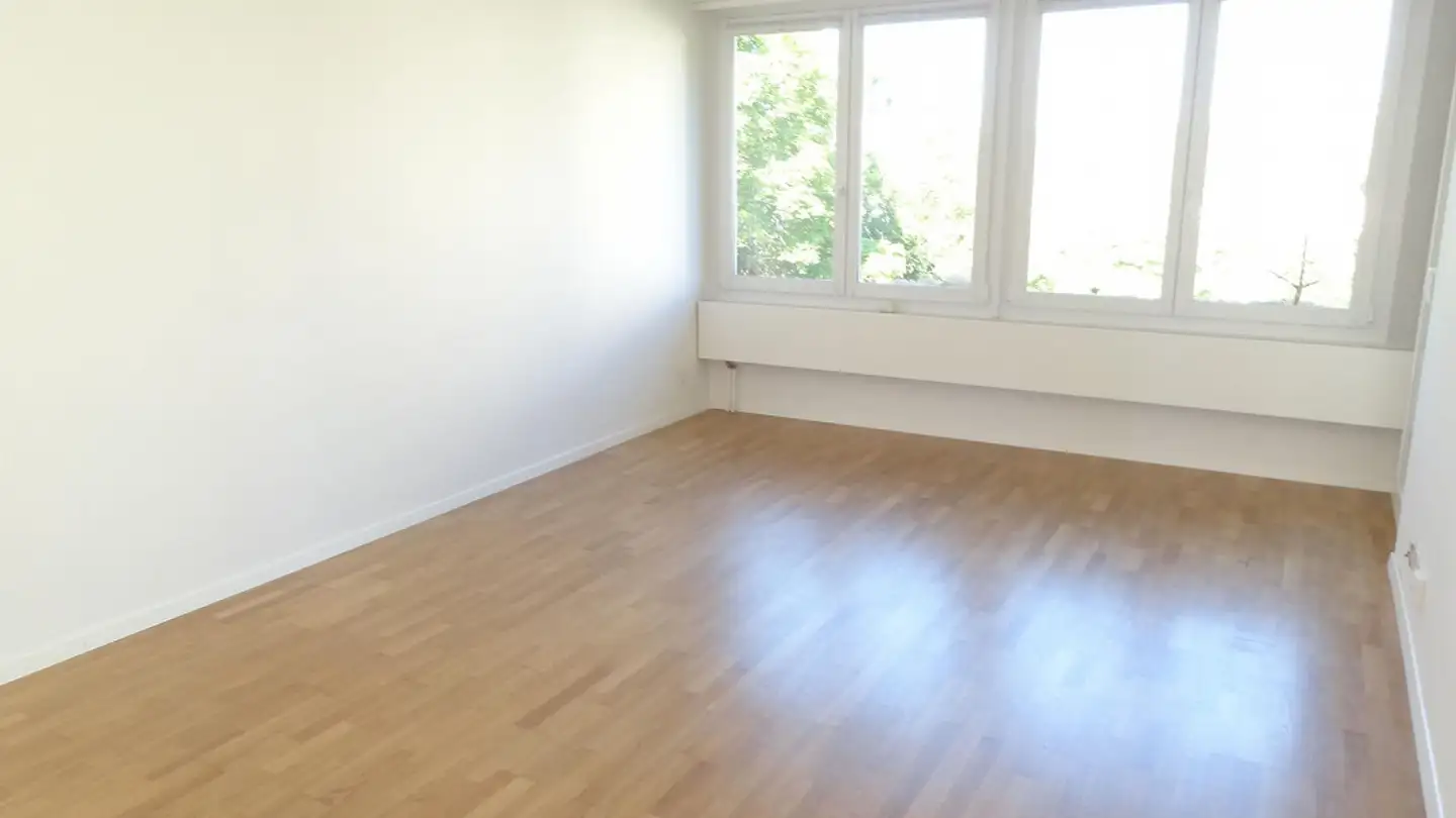 Appartamento in affitto - Artilleriestrasse 4, 8200 Schaffhausen
