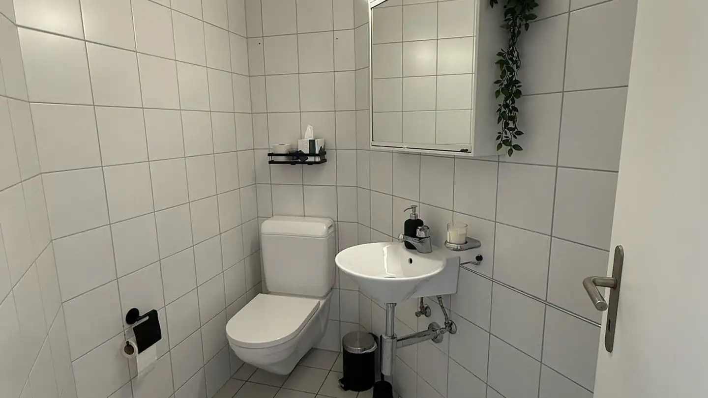 Casa a schiera in vendita - Milchhüslistrasse 234, 5237 Mönthal - Foto 4