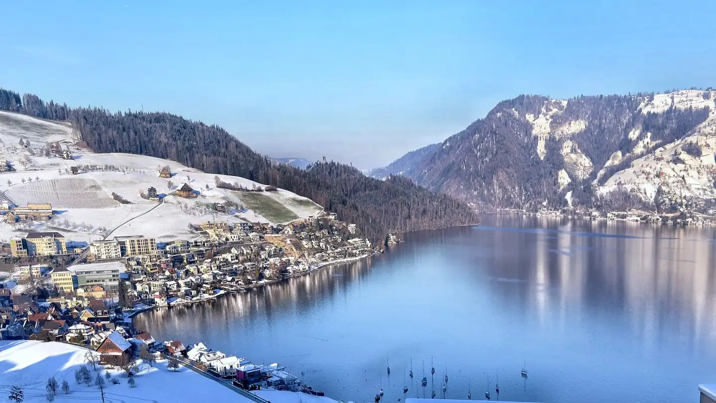 Appartement à vendre - Ribetschiweg, 6405 Immensee