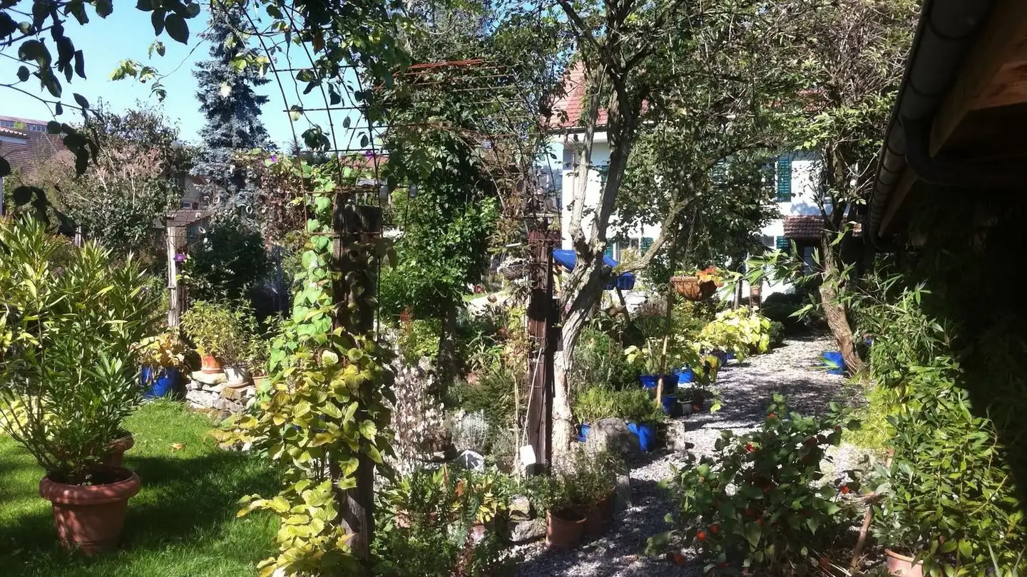 Appartamento in affitto - Winkel 10, 5057 Reitnau - Foto 4