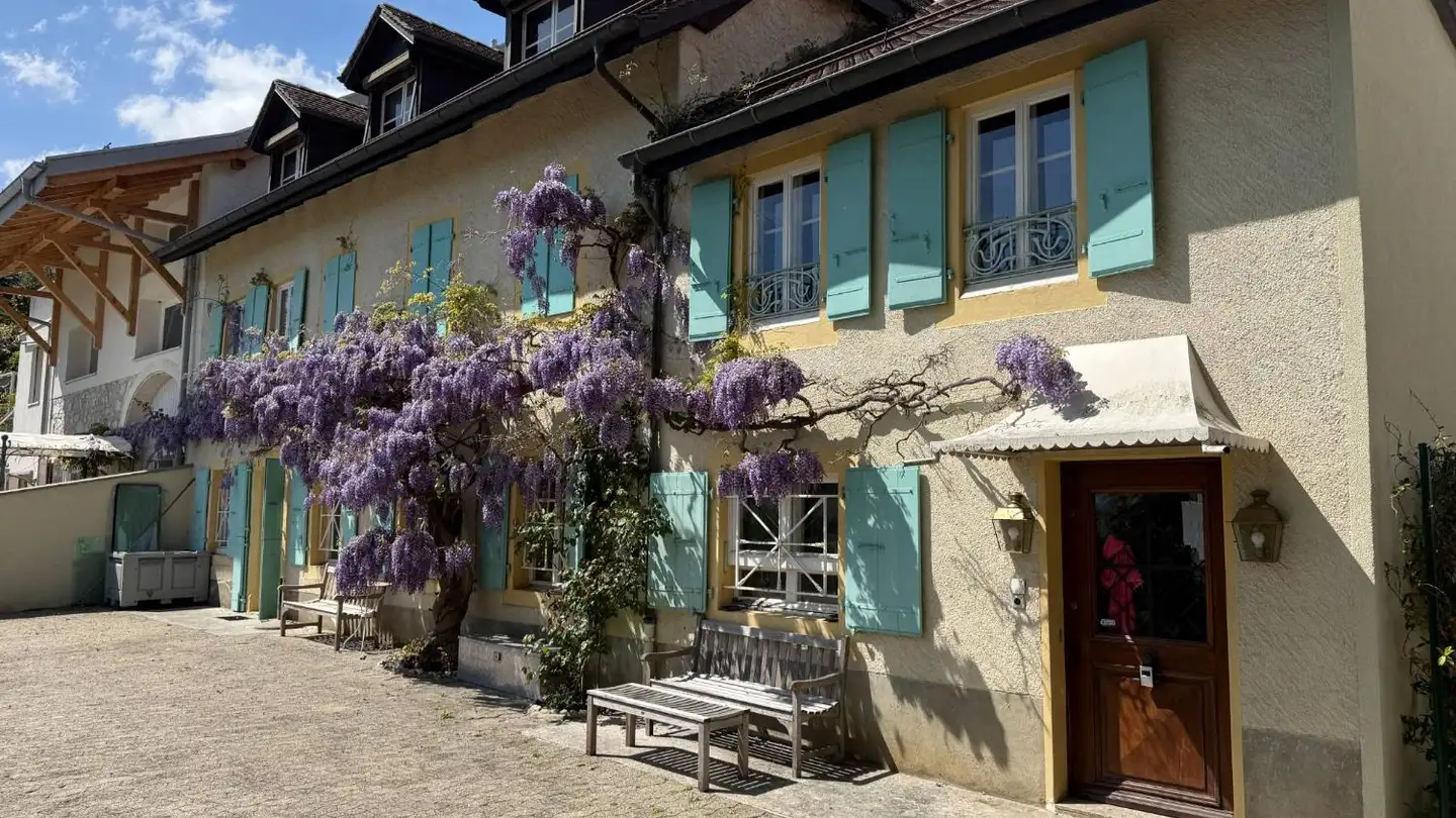 Maison jumelle à vendre - 1278 La Rippe - Photo 4