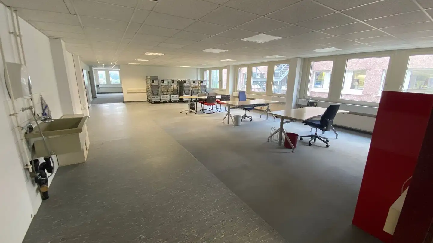 Bürofläche mieten - Rütistrasse 13, 8952 Schlieren - Foto 4