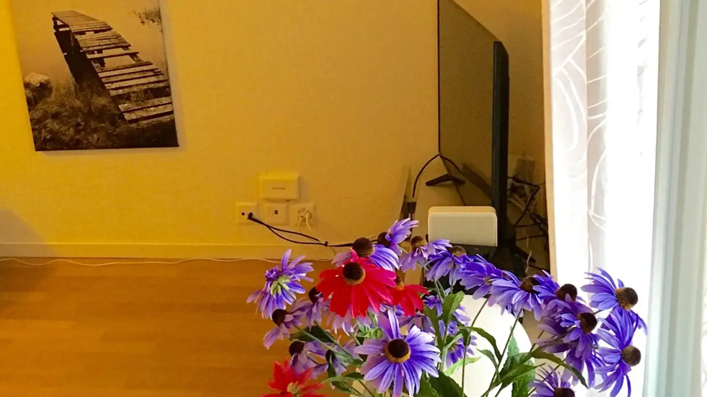 Furnished apartment for rent - Rütistrasse 6, 5400 Baden - Photo 4