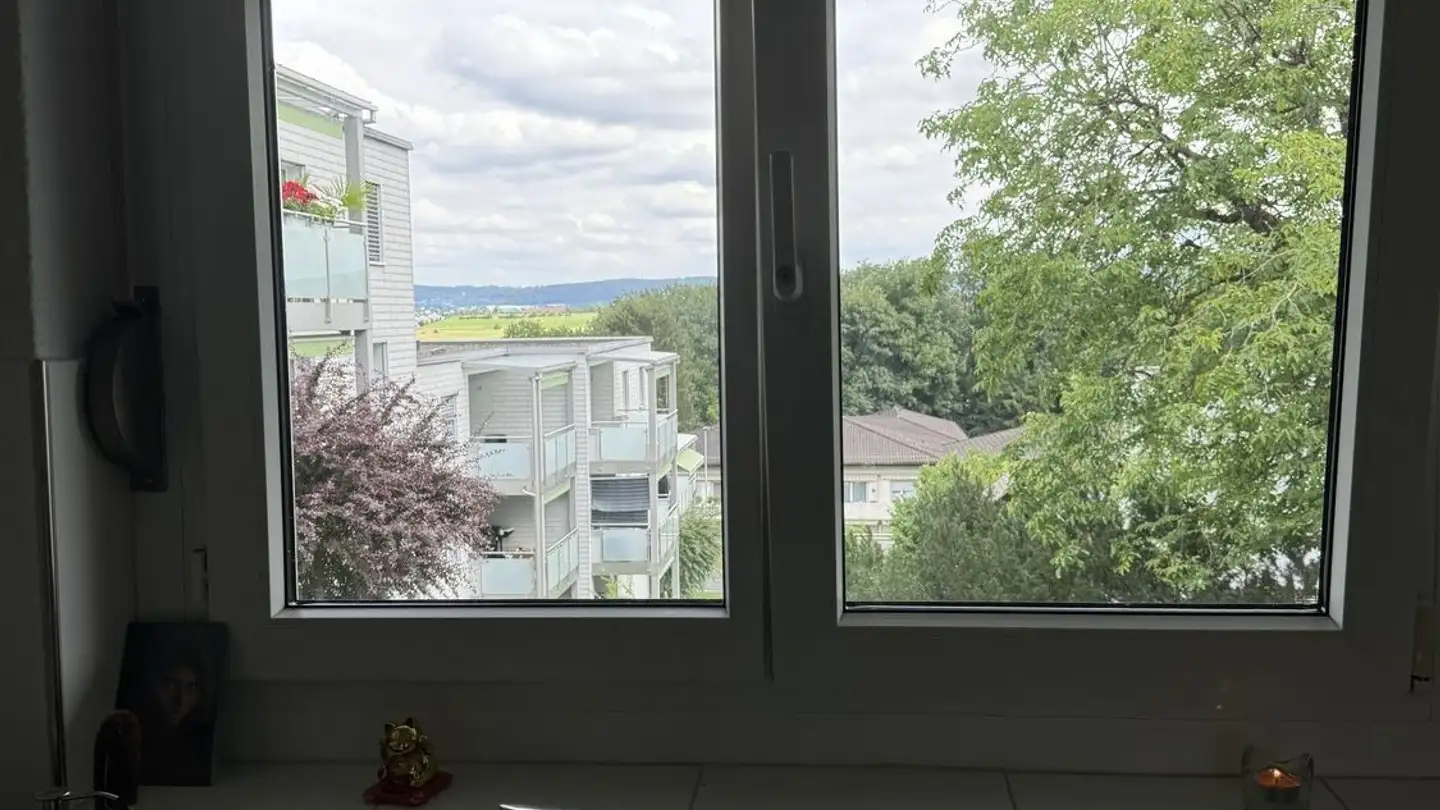 Apartment for rent - 8134 Adliswil - Photo 3