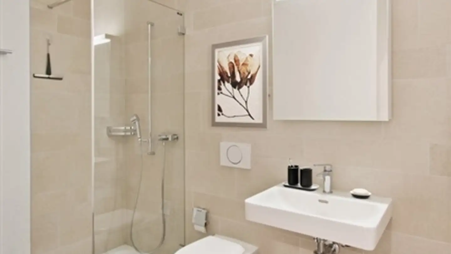 Appartamento in affitto - Busswilstrasse 28k, 3250 Lyss