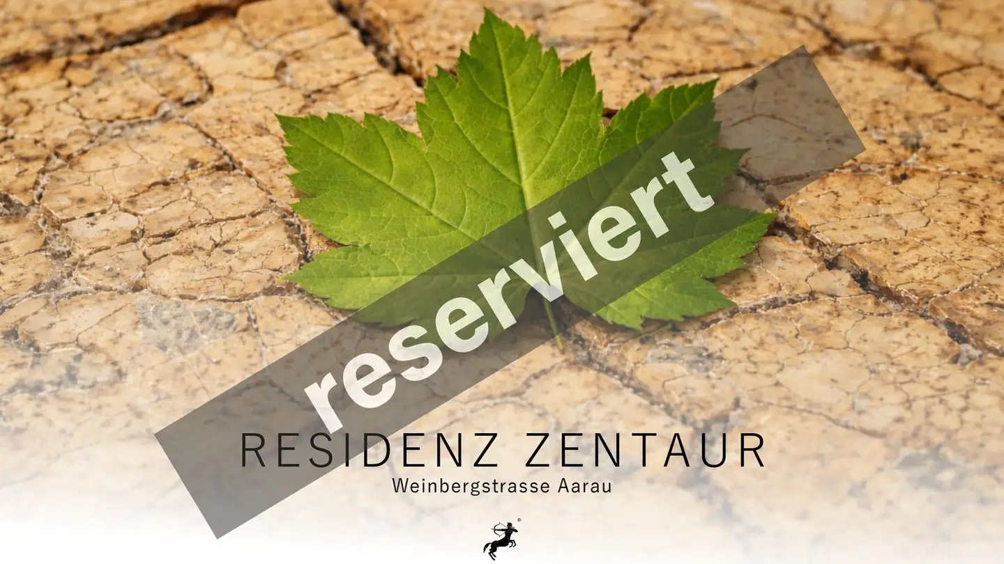 Appartement à vendre - Weinbergstrasse 68, 5000 Aarau