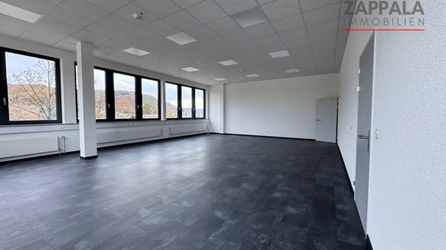 Gewerbe mieten - Industriestrasse 15, 4410 Liestal