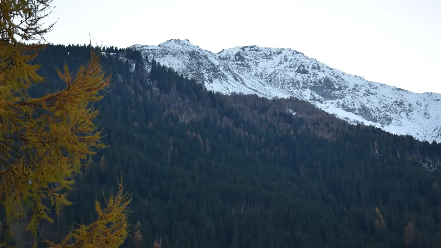 Appartamento in affitto - 7075 Churwalden - Photo 2