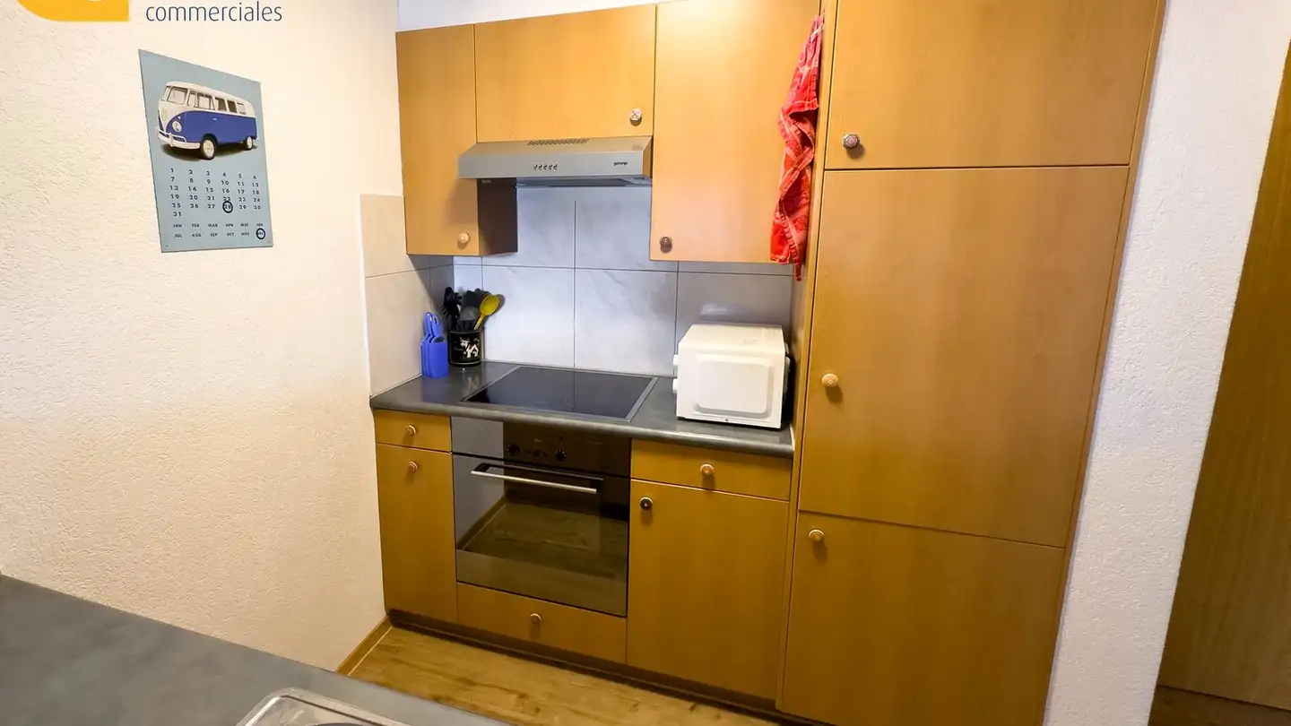 Appartement à louer - Chemin De Tracuit, 3967 Vercorin - Photo 4