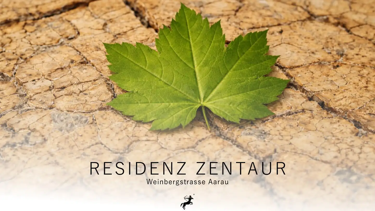 Apartment for sale - Weinbergstrasse 68, 5000 Aarau