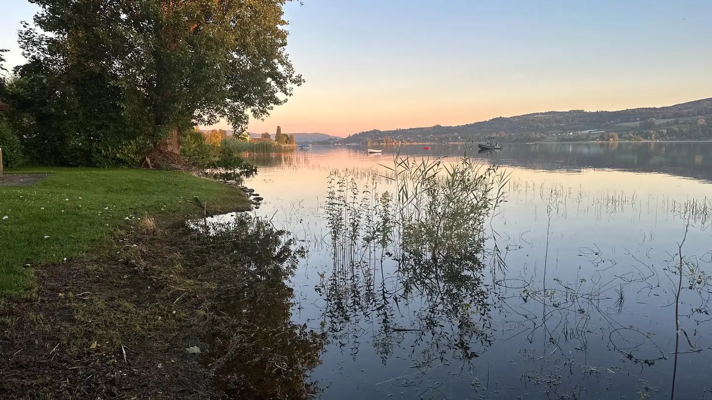 Terreno edificabile in vendita - Seestrasse 196, 8266 Steckborn - Foto 3