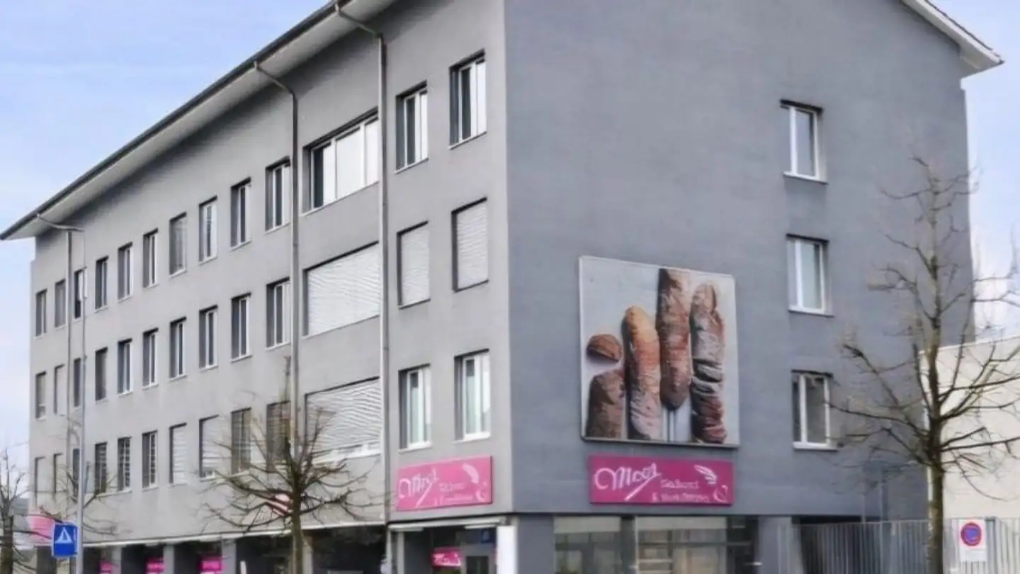Commerciale in affitto - Mellingerstrasse 10, 5443 Niederrohrdorf