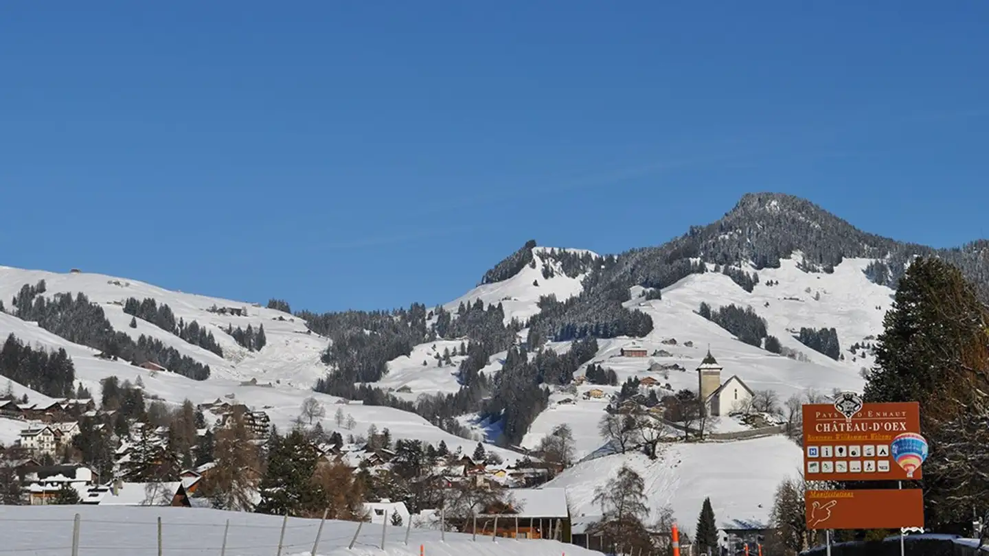 Einfamilienhaus kaufen - 1660 Château-d'Oex - Foto 2