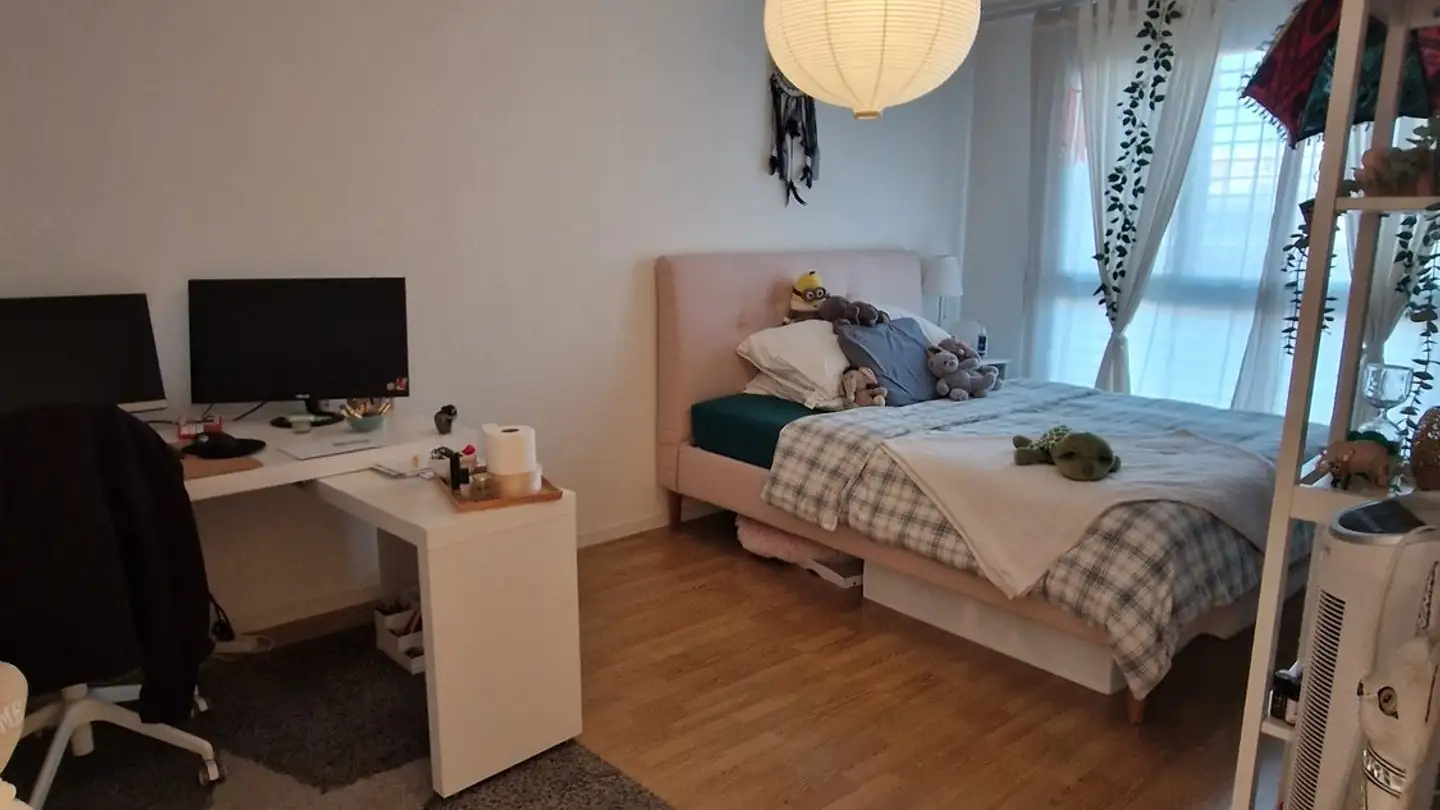 Single room for rent - 6343 Rotkreuz - Photo 3