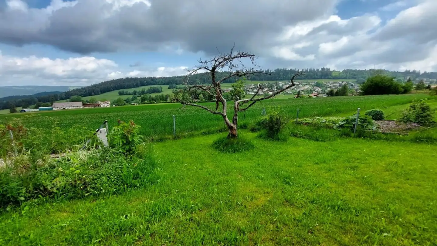 Maison individuelle à vendre - Rue Bel-Air 32, 2350 Saignelégier - Photo 4