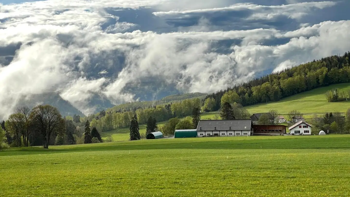Maison individuelle à vendre - Rue Bel-Air 32, 2350 Saignelégier - Photo 2