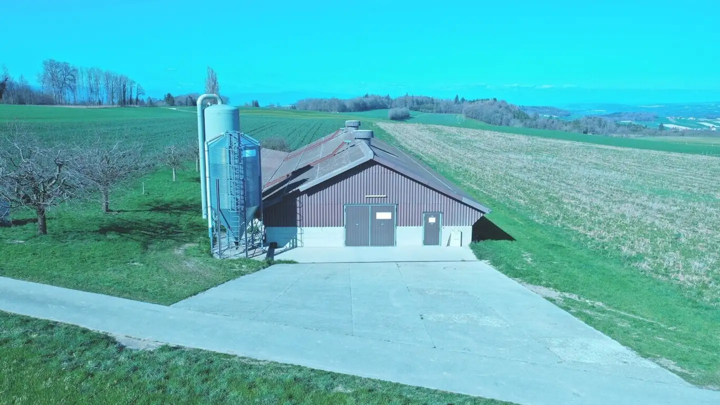 Bien immobilier à vendre - Route De Villars-Le-Comte, 1515 Villars-le-Comte - Photo 2