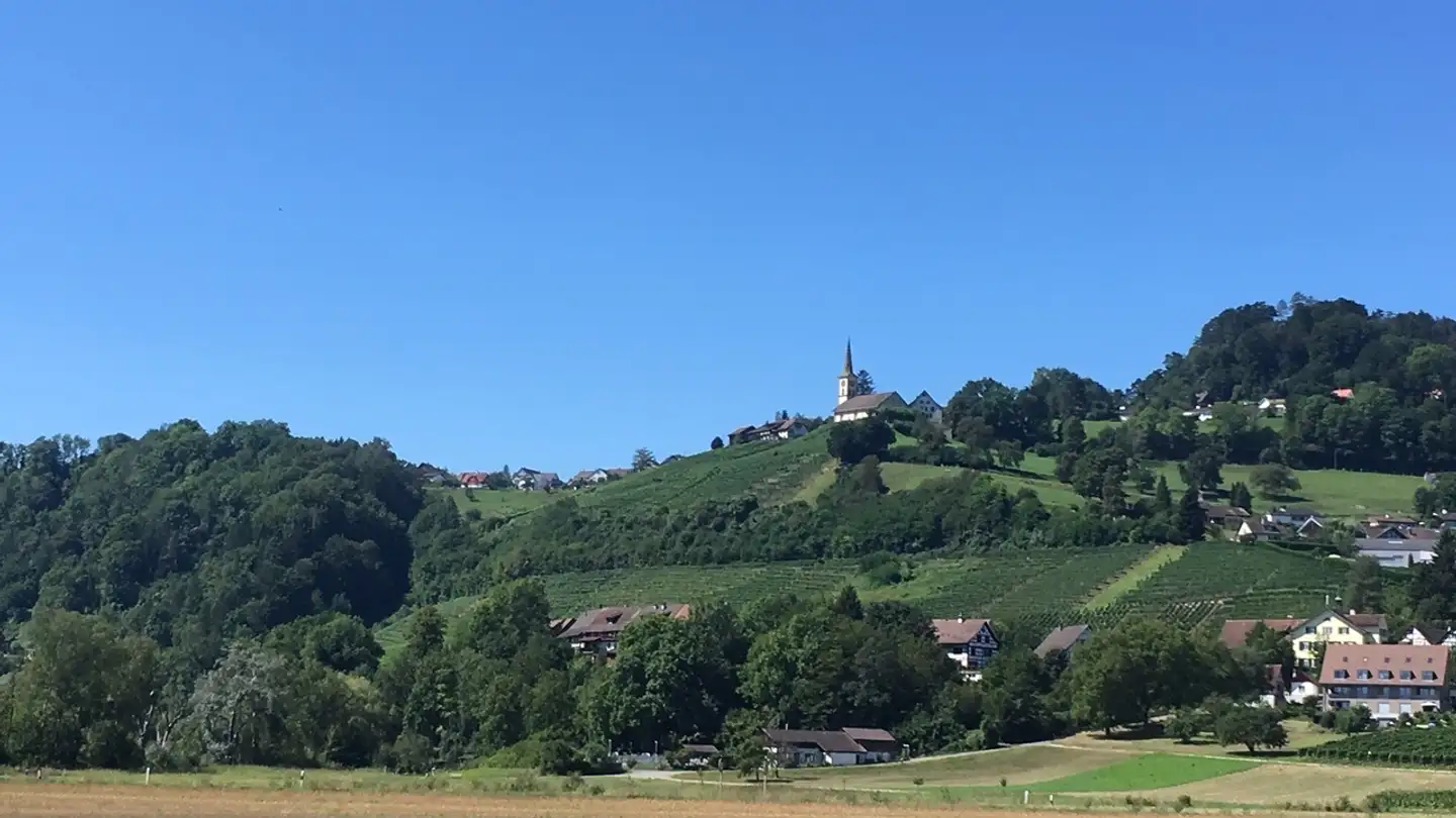 Apartment for rent - Seglerweg 2, 8454 Buchberg - Photo 3