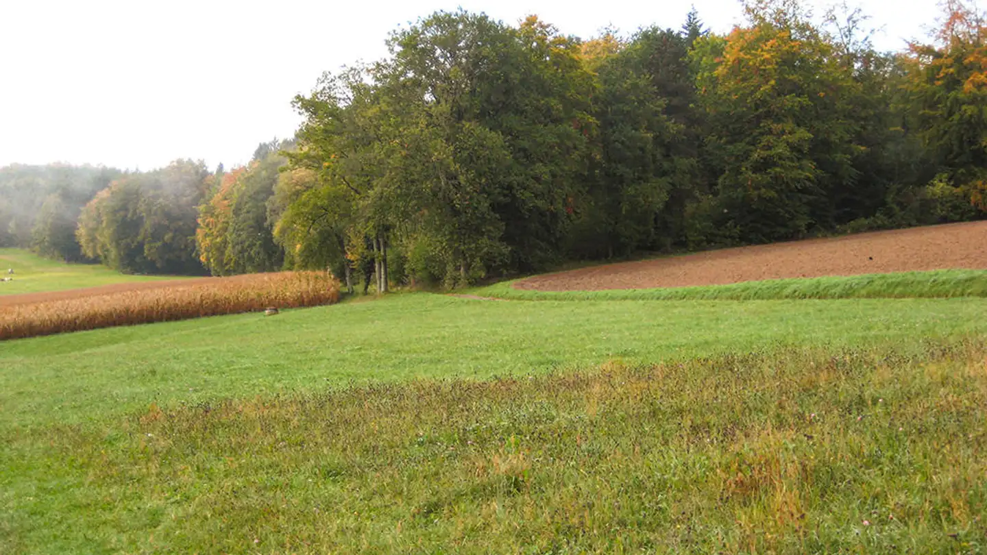 Maison individuelle à vendre - 1522 Lucens