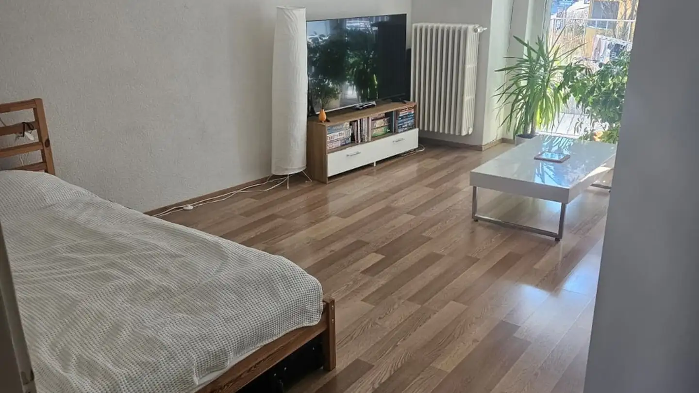 Appartamento in affitto - Wuhrstrasse, 8003 Zürich