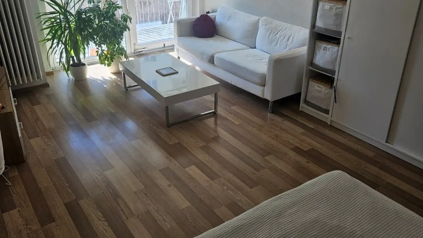 Appartamento in affitto - Wuhrstrasse, 8003 Zürich - Foto 3