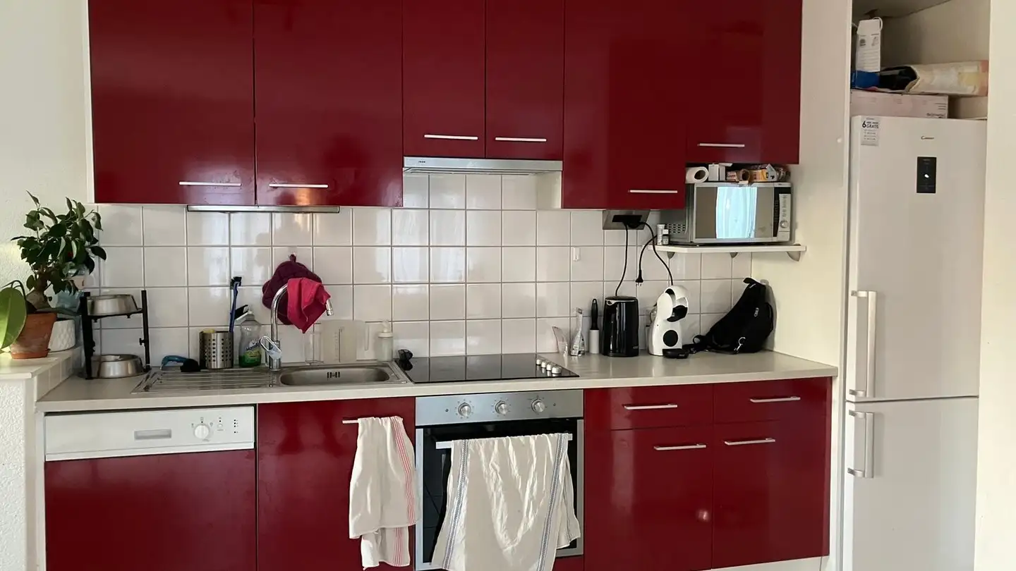 Appartement à louer - 1694 Villarsiviriaux - Photo 4