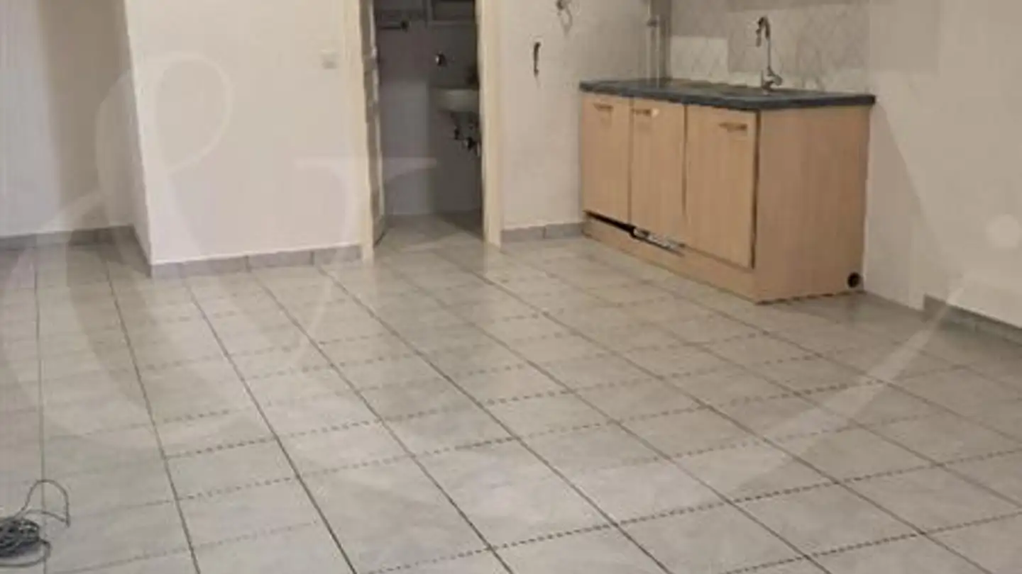 Wohnung mieten - Rue Ancienne 44, 1227 Carouge GE - Foto 2