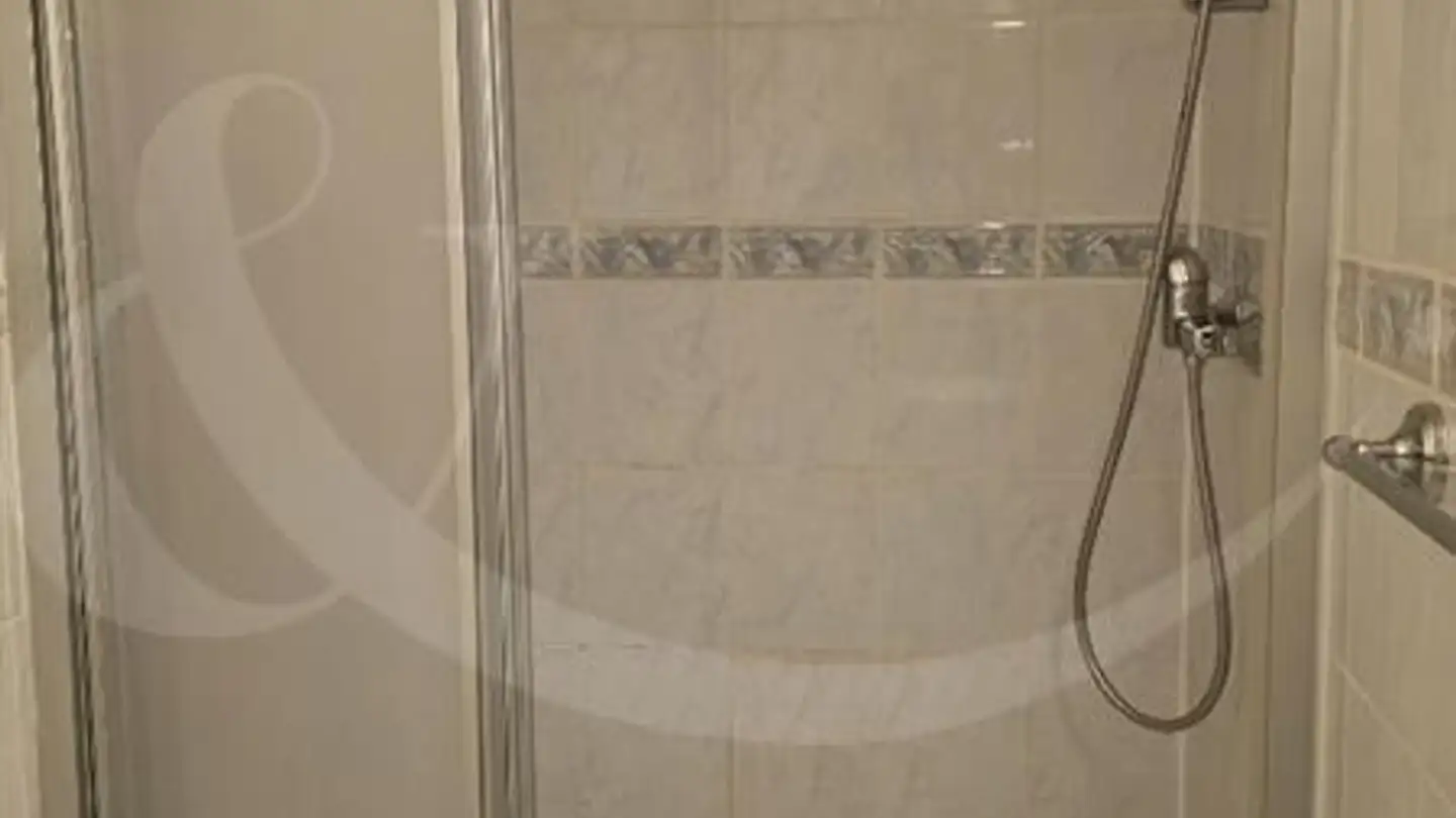 Wohnung mieten - Rue Ancienne 44, 1227 Carouge GE - Foto 3