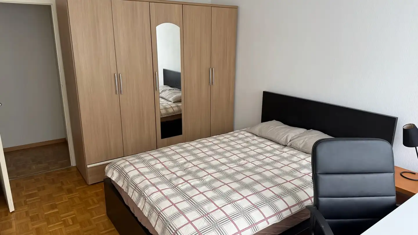 Single room for rent - Rue De La Prulay 37, 1217 Meyrin - Photo 2