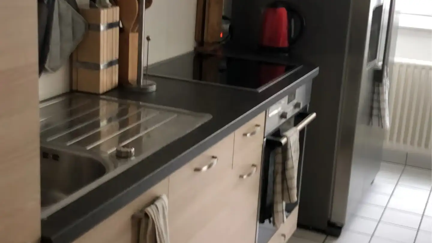 Single room for rent - Rue De La Prulay 37, 1217 Meyrin - Photo 3